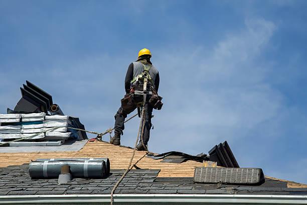 Professional Roof Replacement technician working in Elmora, PA